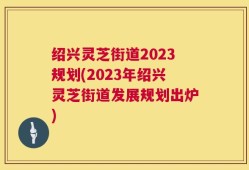 绍兴灵芝街道2023规划(2023年绍兴灵芝街道发展规划出炉)