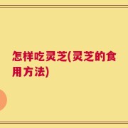 怎样吃灵芝(灵芝的食用方法)