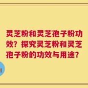 灵芝粉和灵芝孢子粉功效？探究灵芝粉和灵芝孢子粉的功效与用途？