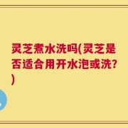 灵芝煮水洗吗(灵芝是否适合用开水泡或洗？)