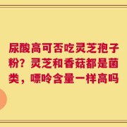 尿酸高可否吃灵芝孢子粉？灵芝和香菇都是菌类，嘌呤含量一样高吗
