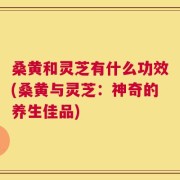 桑黄和灵芝有什么功效(桑黄与灵芝：神奇的养生佳品)