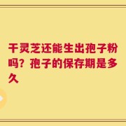 干灵芝还能生出孢子粉吗？孢子的保存期是多久