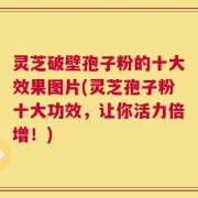 灵芝破壁孢子粉的十大效果图片(灵芝孢子粉十大功效，让你活力倍增！)