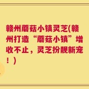 赣州蘑菇小镇灵芝(赣州打造“蘑菇小镇”增收不止，灵芝扮靓新宠！)