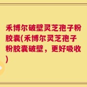 禾博尔破壁灵芝孢子粉胶囊(禾博尔灵芝孢子粉胶囊破壁，更好吸收)