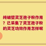 纯破壁灵芝孢子粉作用？已采集了灵芝孢子粉的灵芝功效作用怎样呢