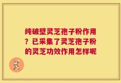 纯破壁灵芝孢子粉作用？已采集了灵芝孢子粉的灵芝功效作用怎样呢