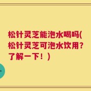 松针灵芝能泡水喝吗(松针灵芝可泡水饮用？了解一下！)