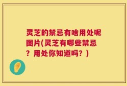 灵芝的禁忌有啥用处呢图片(灵芝有哪些禁忌？用处你知道吗？)