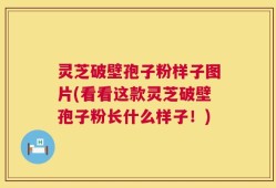 灵芝破壁孢子粉样子图片(看看这款灵芝破壁孢子粉长什么样子！)