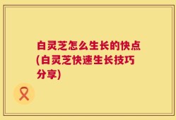 白灵芝怎么生长的快点(白灵芝快速生长技巧分享)