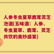 人参冬虫夏草鹿茸灵芝泡酒(五味酒：人参、冬虫夏草、鹿茸、灵芝共饮的美妙盛宴)