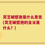灵芝破壁孢是什么意思(灵芝破壁孢的含义是什么？)