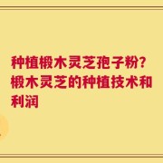 种植椴木灵芝孢子粉？椴木灵芝的种植技术和利润