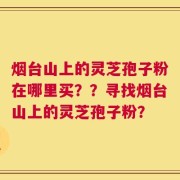 烟台山上的灵芝孢子粉在哪里买？？寻找烟台山上的灵芝孢子粉？