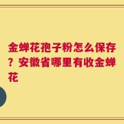 金蝉花孢子粉怎么保存？安徽省哪里有收金蝉花