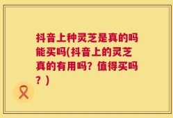 抖音上种灵芝是真的吗能买吗(抖音上的灵芝真的有用吗？值得买吗？)