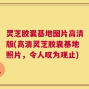 灵芝胶囊基地图片高清版(高清灵芝胶囊基地照片，令人叹为观止)