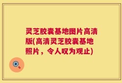 灵芝胶囊基地图片高清版(高清灵芝胶囊基地照片，令人叹为观止)