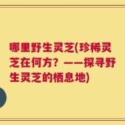 哪里野生灵芝(珍稀灵芝在何方？——探寻野生灵芝的栖息地)