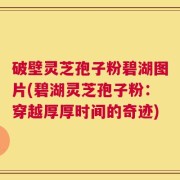破壁灵芝孢子粉碧湖图片(碧湖灵芝孢子粉：穿越厚厚时间的奇迹)