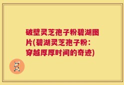 破壁灵芝孢子粉碧湖图片(碧湖灵芝孢子粉：穿越厚厚时间的奇迹)