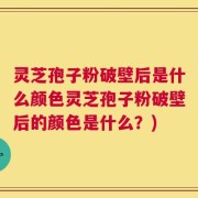 灵芝孢子粉破壁后是什么颜色灵芝孢子粉破壁后的颜色是什么？)