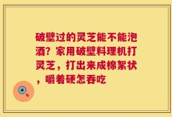 破壁过的灵芝能不能泡酒？家用破壁料理机打灵芝，打出来成棉絮状，嚼着硬怎吞吃