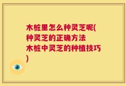 木桩里怎么种灵芝呢(种灵芝的正确方法  木桩中灵芝的种植技巧)