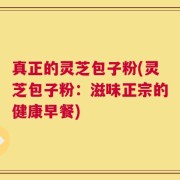 真正的灵芝包子粉(灵芝包子粉：滋味正宗的健康早餐)