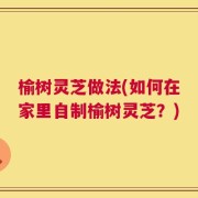榆树灵芝做法(如何在家里自制榆树灵芝？)