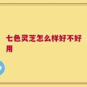 七色灵芝怎么样好不好用