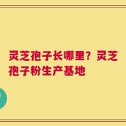 灵芝孢子长哪里？灵芝孢子粉生产基地