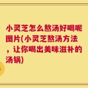 小灵芝怎么熬汤好喝呢图片(小灵芝熬汤方法，让你喝出美味滋补的汤锅)