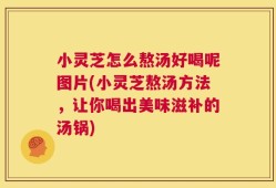 小灵芝怎么熬汤好喝呢图片(小灵芝熬汤方法，让你喝出美味滋补的汤锅)