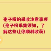 孢子粉的采收注意事项(孢子粉采集须知，了解这些让你顺利收获)