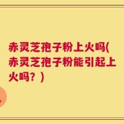 赤灵芝孢子粉上火吗(赤灵芝孢子粉能引起上火吗？)