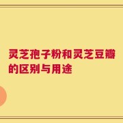 灵芝孢子粉和灵芝豆瓣的区别与用途