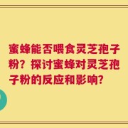 蜜蜂能否喂食灵芝孢子粉？探讨蜜蜂对灵芝孢子粉的反应和影响？