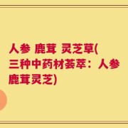 人参 鹿茸 灵芝草(三种中药材荟萃：人参鹿茸灵芝)