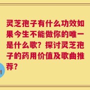 灵芝孢子有什么功效如果今生不能做你的唯一是什么歌？探讨灵芝孢子的药用价值及歌曲推荐？