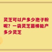 灵芝可以产多少孢子粉呢？一袋灵芝菌棒能产多少灵芝
