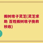 搬树墩子灵芝(灵芝求助 百姓搬树墩子挽救秋收)