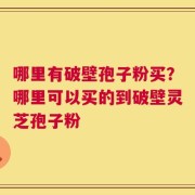 哪里有破壁孢子粉买？哪里可以买的到破壁灵芝孢子粉