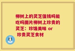 柳树上的灵芝值钱吗能吃吗图片柳树上珍贵的灵芝：珍馐美味 or 珍贵灵芝食材
