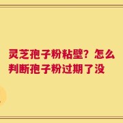 灵芝孢子粉粘壁？怎么判断孢子粉过期了没