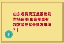 山东观赏灵芝盆景批发市场在哪(山东哪里有观赏灵芝盆景批发市场？)