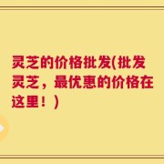 灵芝的价格批发(批发灵芝，最优惠的价格在这里！)