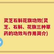 灵芝石斛花旗功效(灵芝、石斛、花旗三种草药的功效与作用简介)